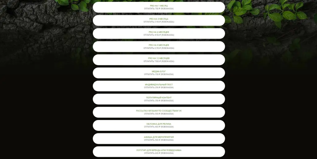 Музыкальная социальная сеть и сервис по продвижению. Доход 108000 в месяц