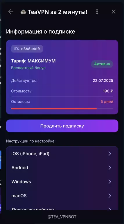 Telegram MiniApp VPN